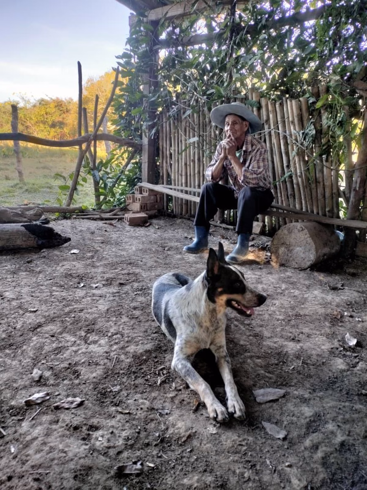 El campo es grande, pero la amistad es más grande aún. 🐕❤️