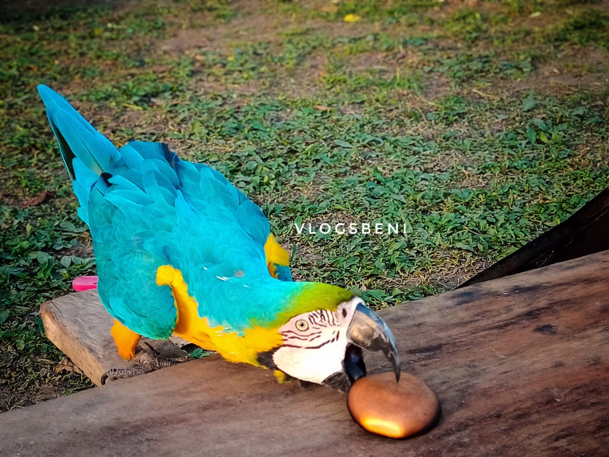 ¡Cuando la naturaleza te roba una sonrisa!