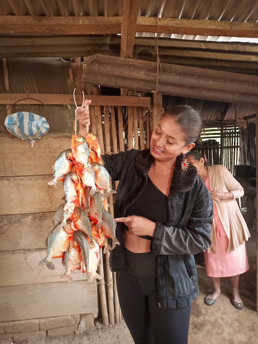 ¿Como las prefieren en suda'u o fritas ?